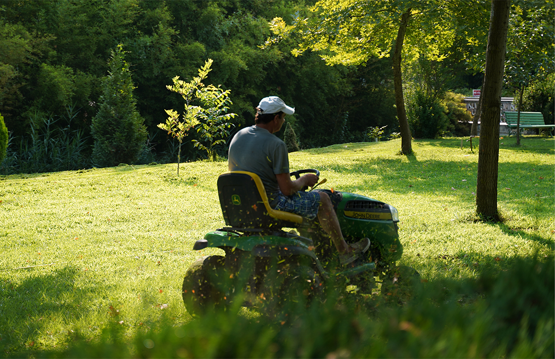 image-grass-cutter